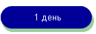1 день