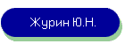 Журин Ю.Н.