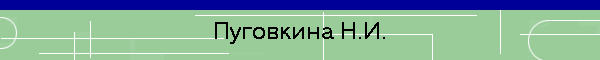 Пуговкина Н.И.
