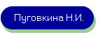 Пуговкина Н.И.